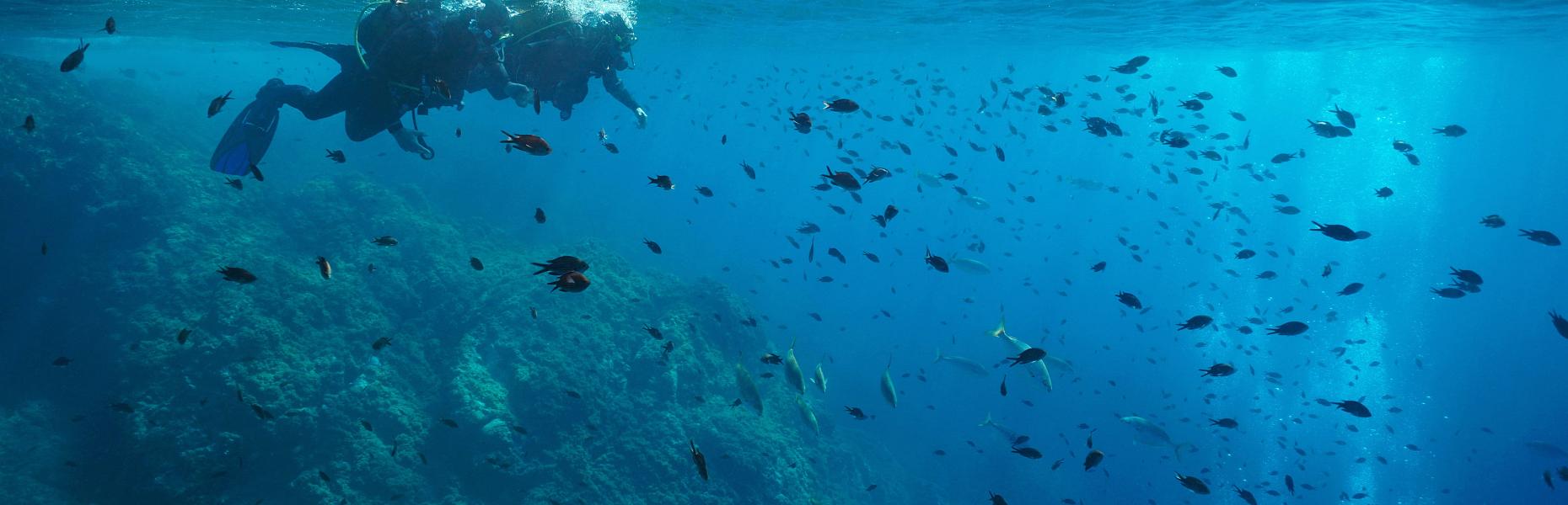Submarinismo en S'Agaró