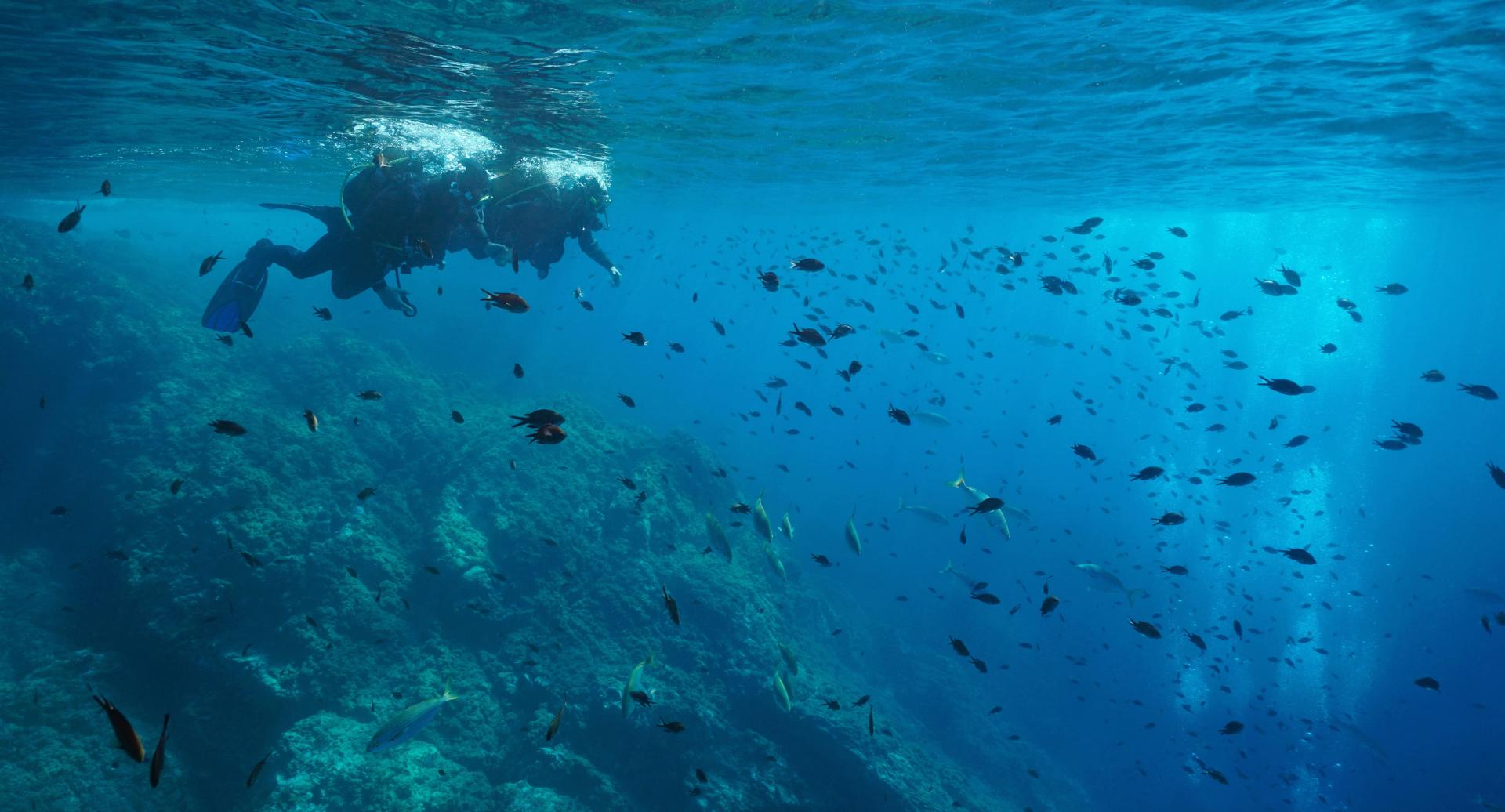 Submarinismo en S'Agaró