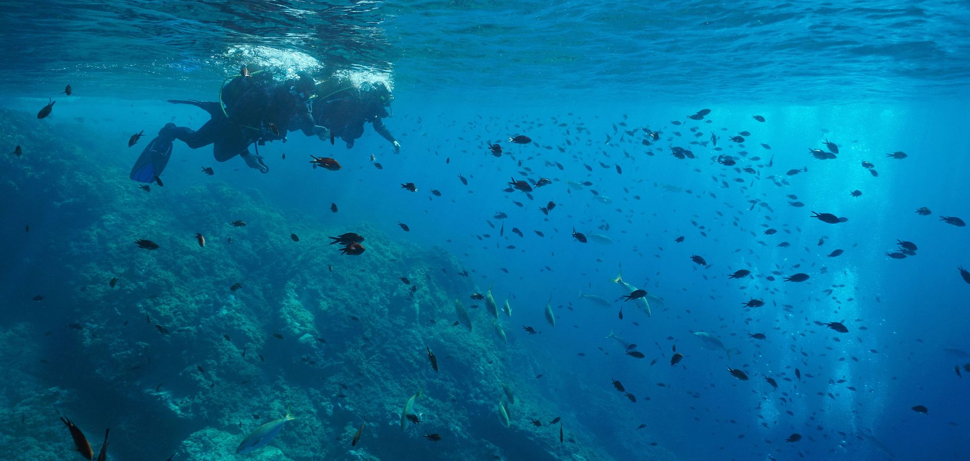 Découvrez les fonds marins de la Costa Brava
