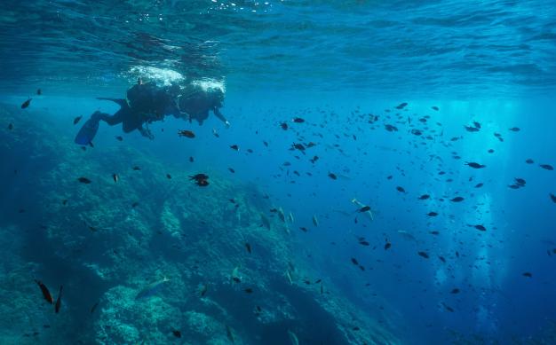 Submarinisme a S'Agaró