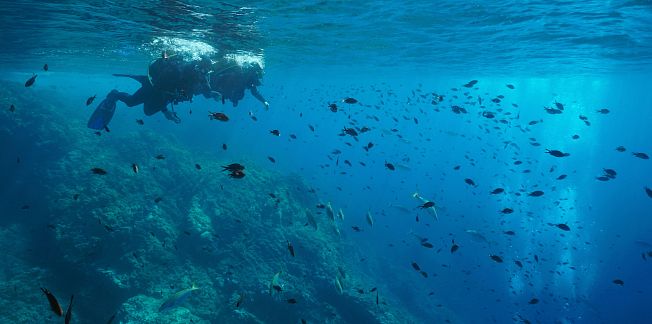 Discover the seabed of the Costa Brava