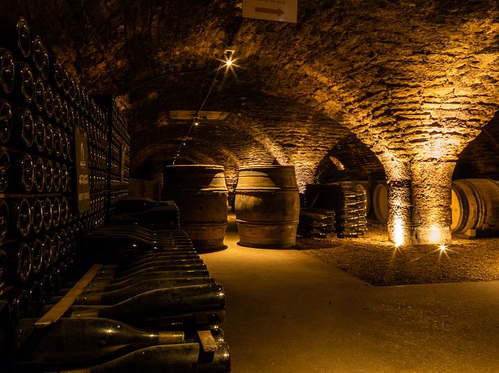 Wine Tourism